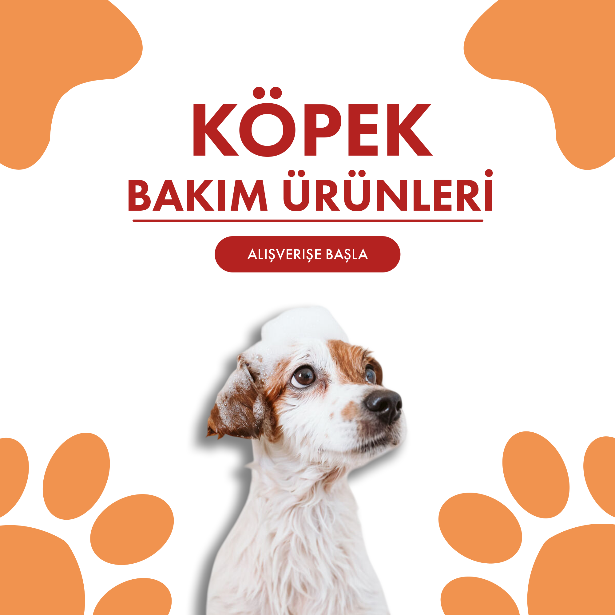 Köpek Bakım Ürünleri